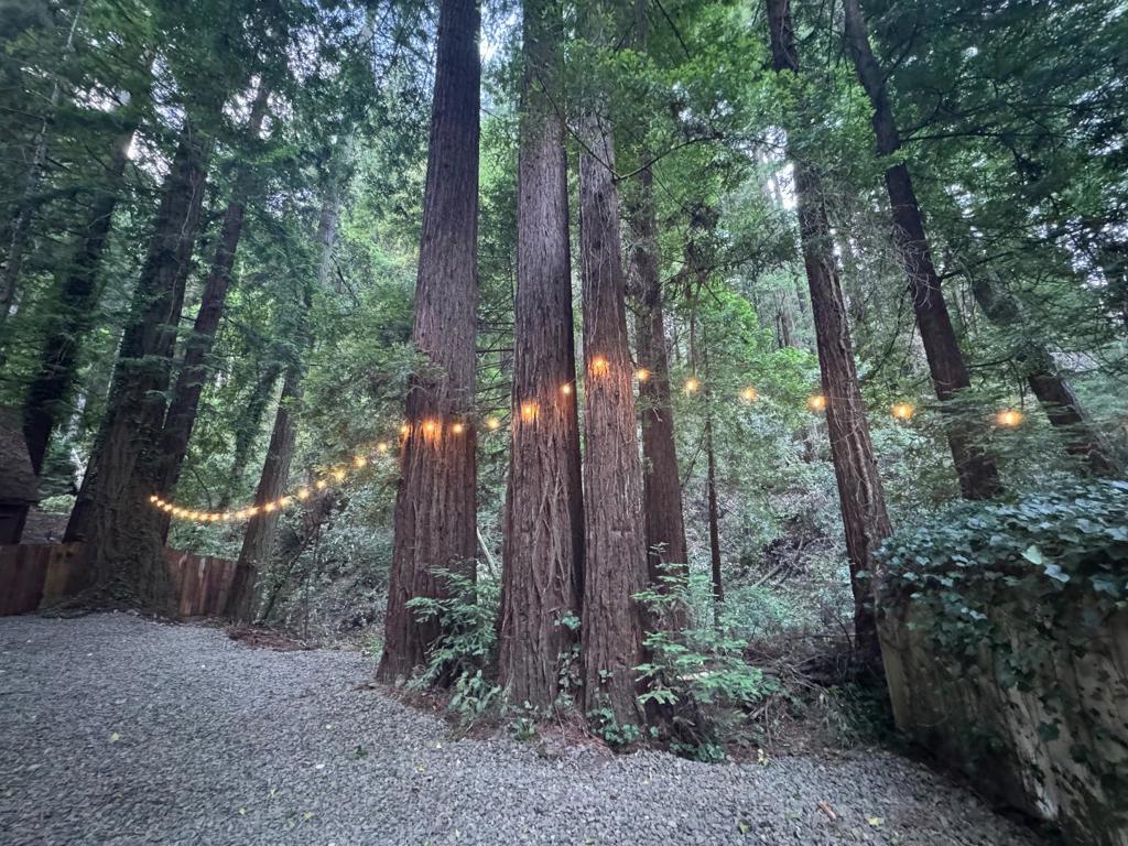 https://media.crmls.org/mediaz/0c11c4a1-b87e-4df5-a975-9ce46300e019.jpg?preset=X-Large