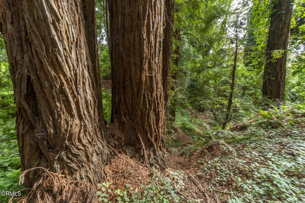 https://media.crmls.org/mediaz/0c1691db-af7b-4b38-8b63-41956908d027.jpg?preset=X-Large
