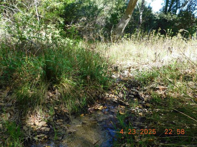 0 San Felipe Rd,  CA: https://media.crmls.org/mediaz/0c1ef45f-f916-4922-b5e2-a6b9f37a6bb9.jpg