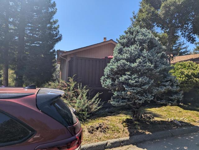 267 Crows Nest Drive, Boulder Creek CA: https://media.crmls.org/mediaz/0c327b3f-9c3f-4bad-9e1b-9dd44a1e3cda.jpg