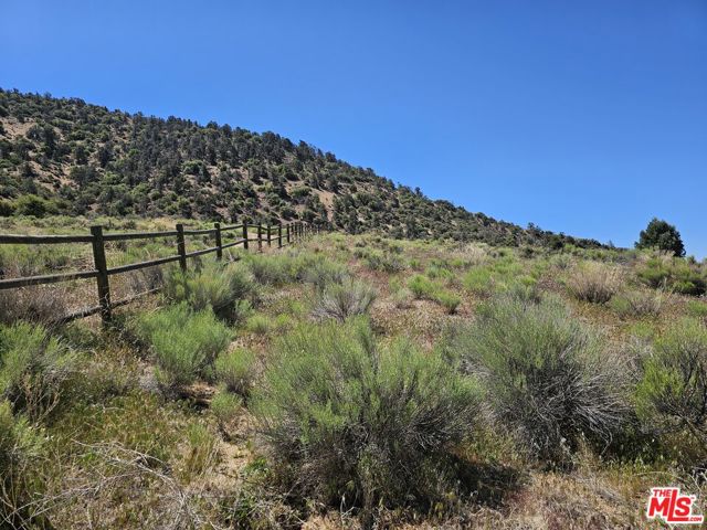 0 Pine Grove Dr, Tehachapi CA: https://media.crmls.org/mediaz/0c3c09de-3ca2-4ebf-b570-07aa8fc30072.jpg