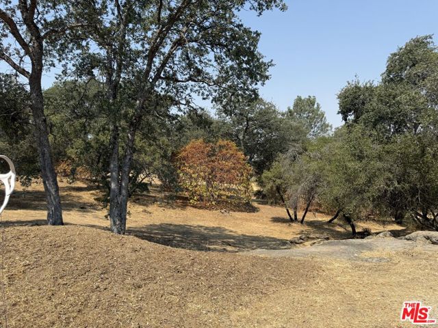 31199 Rolling Meadow Court, Coarsegold CA: https://media.crmls.org/mediaz/0c3db225-70de-4ca4-a1ac-b96b32de36b6.jpg