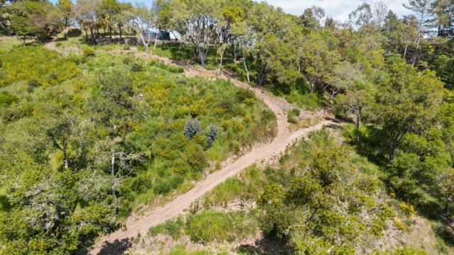 280 Petery Lane, Aptos CA: https://media.crmls.org/mediaz/0c409a1b-4e14-4e35-a6f2-1ca5790525e6.jpg