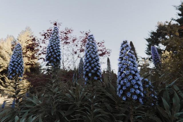 Image 20 of 24 For 520 Redwood Road