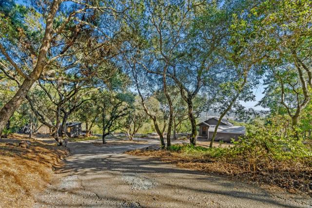 579 San Juan, Corralitos CA: https://media.crmls.org/mediaz/0c4990d0-d9f5-438e-bb63-49f2df96a24e.jpg