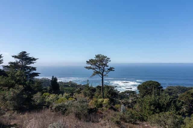 232 Lower Walden Road, Carmel CA: https://media.crmls.org/mediaz/0c4a0cd0-7758-4521-84a0-6d3de97bdc1e.jpg