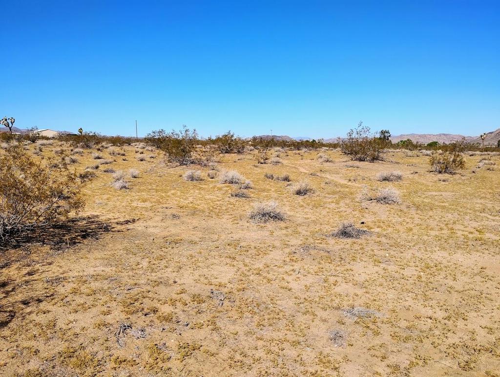 MLS #219138097DA image #11