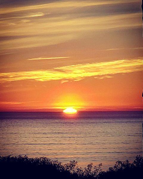 MLS #ML82020437 image #39