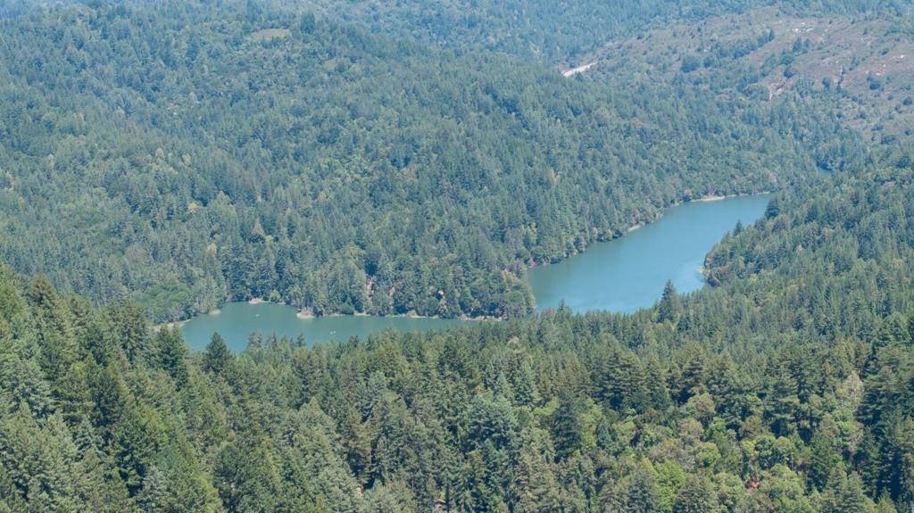 MLS #ML81977847 image #16