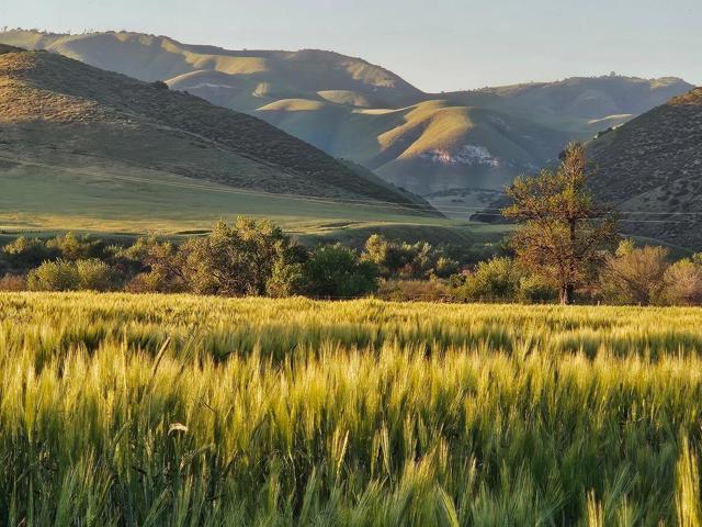 54800 Lonoak Road, King City CA: https://media.crmls.org/mediaz/0c5f4d38-287b-4541-a9c2-6c80cac50b9d.jpg