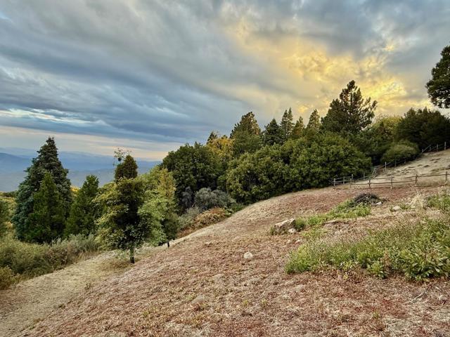 Detail Gallery Image 5 of 47 For 32771 Birch Hill Rd, Palomar Mountain,  CA 92060 - 2 Beds | 2 Baths