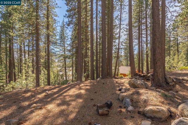 12255 Sierra Dr, Truckee CA: https://media.crmls.org/mediaz/0c6db473-0ec0-4c49-94cf-c8f1ef0a1d5d.jpg