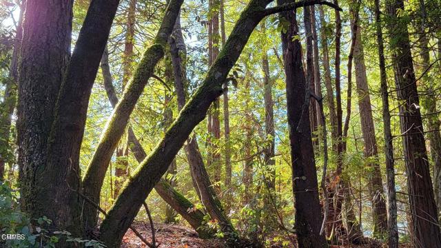 Detail Gallery Image 9 of 15 For 12301 Docker Hill Rd, Comptche,  CA 95427 - – Beds | – Baths