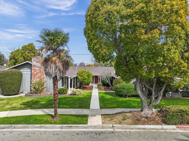 220 Loreto Street, Mountain View CA: https://media.crmls.org/mediaz/0c6fd25a-99ce-40ef-bd7d-4b87372bf98c.jpg