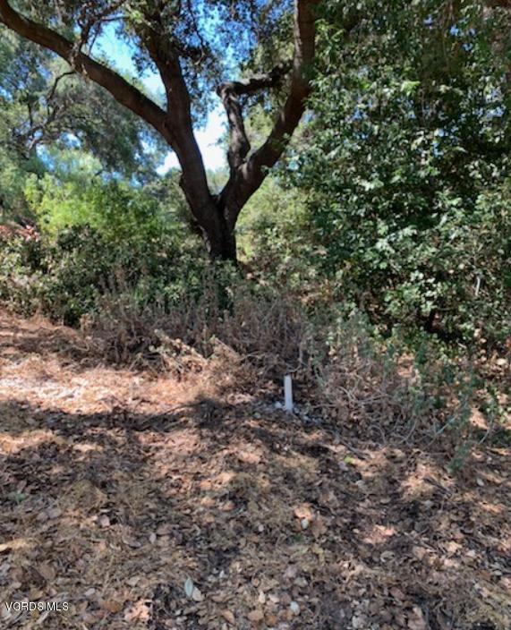 2442 Valley Meadow Drive, Oak View CA: https://media.crmls.org/mediaz/0c7c0138-7619-49d0-86ac-462f697528c4.jpg