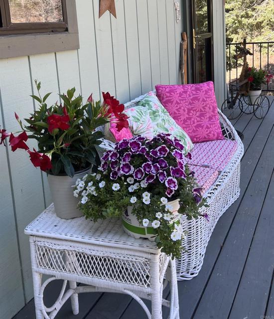 Detail Gallery Image 11 of 38 For 22209 Crestline Rd, Palomar Mountain,  CA 92060 - 3 Beds | 1/1 Baths
