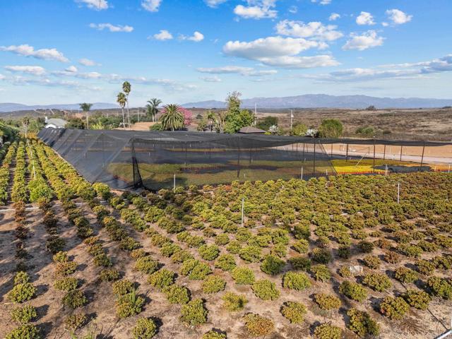 Detail Gallery Image 8 of 51 For 3519 Cazador Ln, Fallbrook,  CA 92028 - 3 Beds | 2 Baths