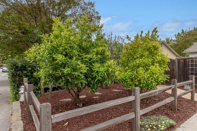 1532 Meadow Lane, Mountain View CA: https://media.crmls.org/mediaz/0cb37017-25a2-4d24-bce1-cfad4a981835.jpg