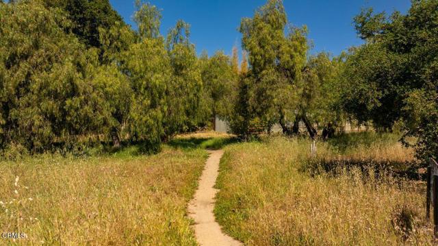 Detail Gallery Image 9 of 14 For 325 Bryant St, Ojai,  CA 93023 - – Beds | – Baths