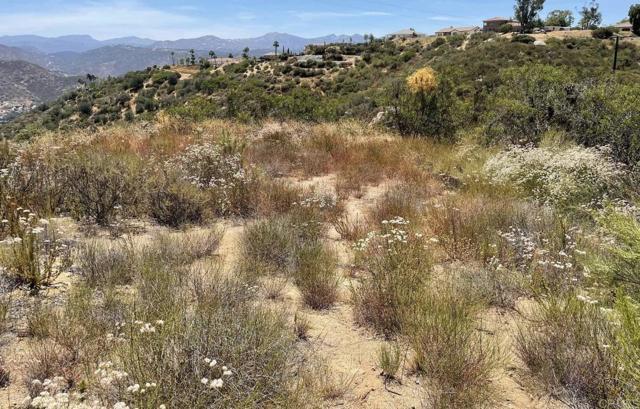 0 Mountain View, El Cajon, California 92021, ,Residential Land,For Sale,Mountain View,PTP2404605