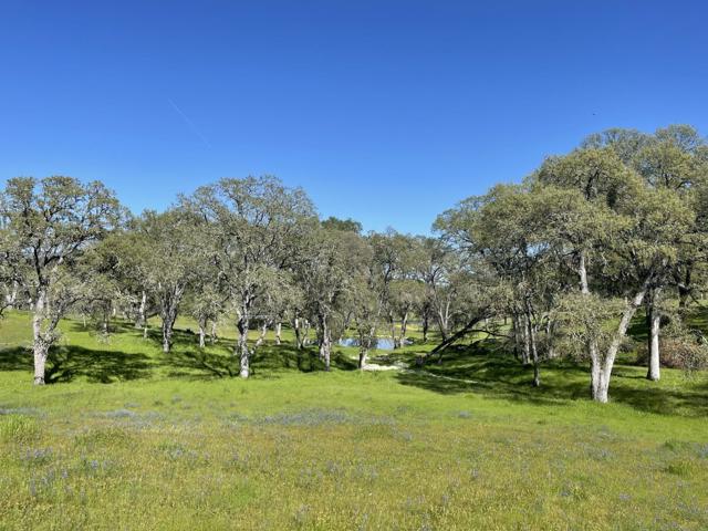 3570 Stagecoach Road, Copperopolis CA: https://media.crmls.org/mediaz/0cbddfa8-799b-4f98-9c16-7570738c1ef1.jpg