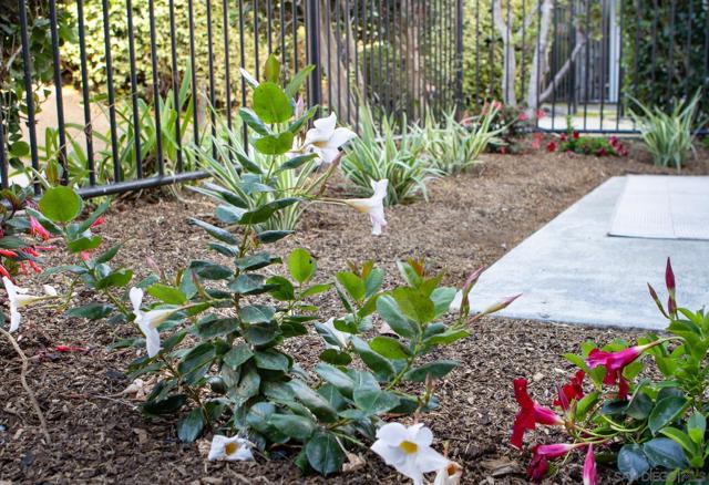 7325 Alicante Rd, Carlsbad CA: https://media.crmls.org/mediaz/0cca6fbb-8870-44a0-a043-c2d5714005e7.jpg