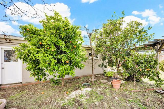 3115 Calzar Drive, San Jose CA: https://media.crmls.org/mediaz/0ccecea2-ce36-4492-9a8d-1e8db969440c.jpg