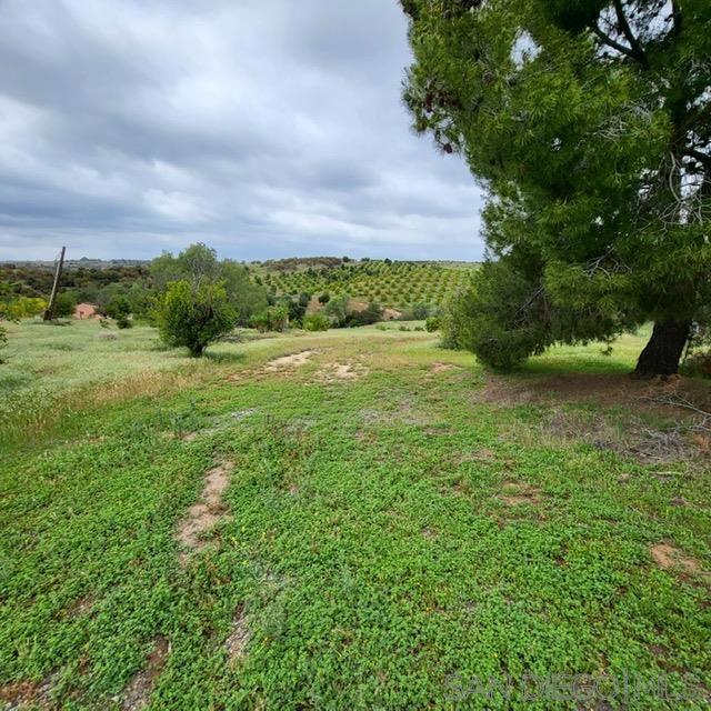 9562 Covey Ln, Escondido CA: https://media.crmls.org/mediaz/0cdc6b3c-f90f-4f7c-81e9-a33729866ba6.jpg