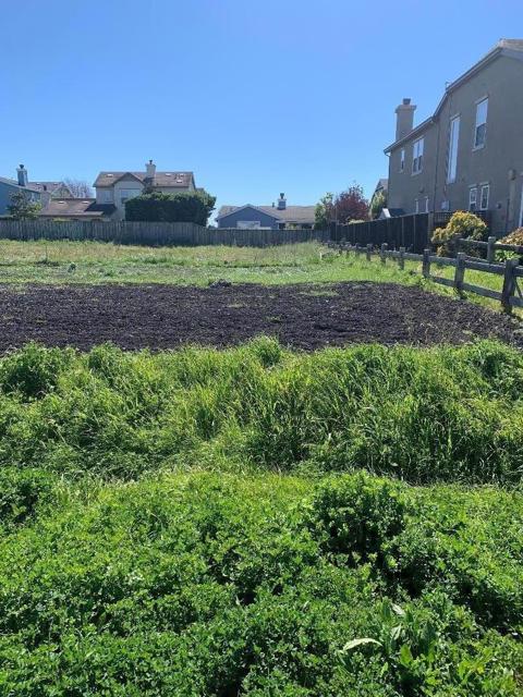 0 Magnolia Street, Half Moon Bay CA: https://media.crmls.org/mediaz/0cddae7f-3a85-4adf-ab87-a49ab7e1d717.jpg