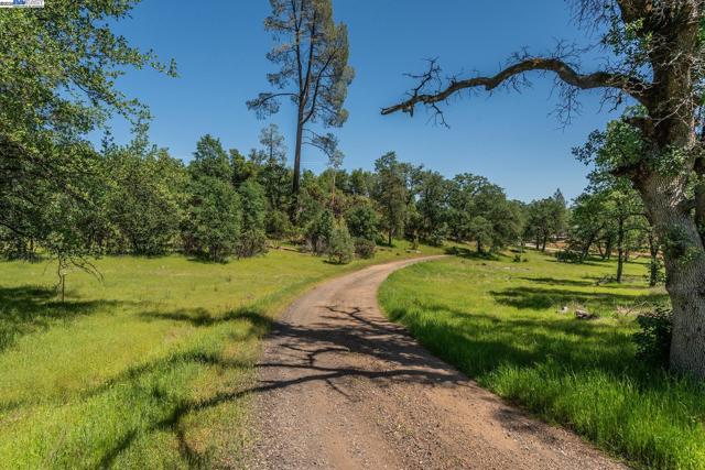 21679 Squaw Grass Trail, Redding CA: https://media.crmls.org/mediaz/0cdf66e8-eac0-4c60-b147-8374590d4996.jpg