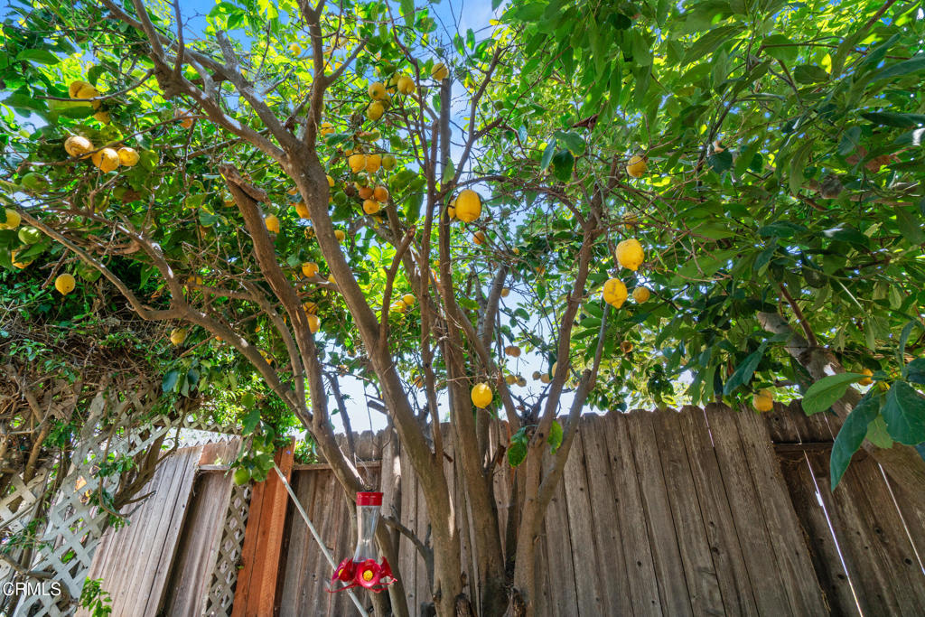 https://media.crmls.org/mediaz/0ce53aaa-163a-4bb5-8f0d-a7146b30f7c8.jpg?preset=X-Large