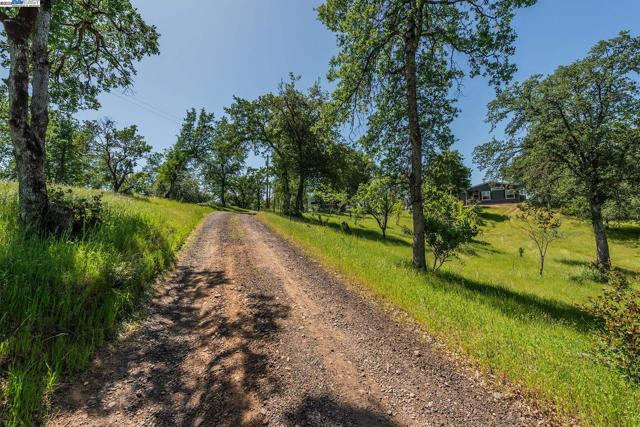 21679 Squaw Grass Trail, Redding CA: https://media.crmls.org/mediaz/0ce91dbb-f5ec-4ec0-902f-61e7758f206a.jpg
