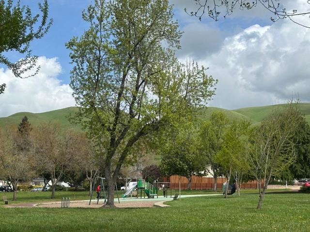 1881 Grand Teton Drive, Milpitas CA: https://media.crmls.org/mediaz/0cf501c1-8446-4199-93f0-d47cce0cf2a7.jpg