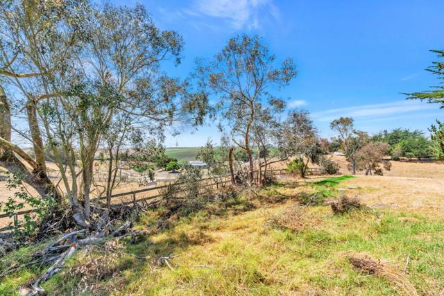 501 Trail Drive, Moss Landing CA: https://media.crmls.org/mediaz/0cfe46da-9d74-4a9c-b3cd-d52a167ed57a.jpg