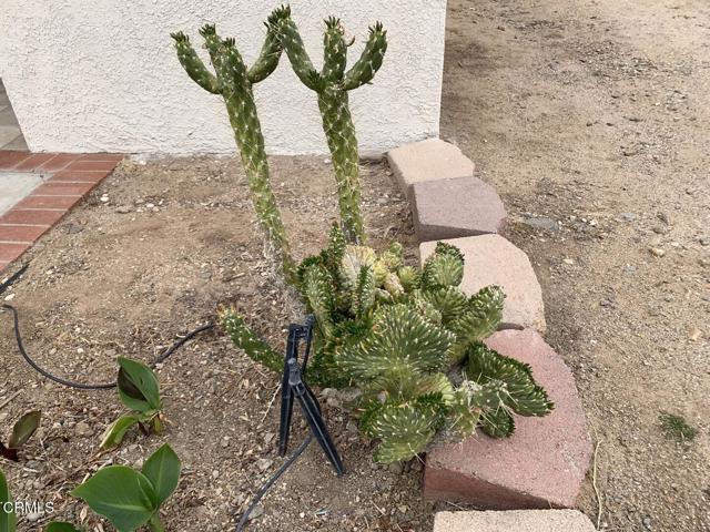9020 Pionero Road, Pinon Hills CA: https://media.crmls.org/mediaz/0d0af6f5-31ab-4b44-ac22-ab482b3fabaf.jpg