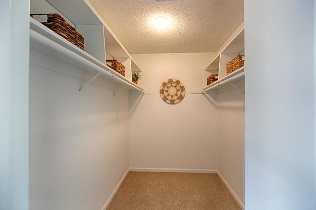 106 Palo Verde Terrace, Santa Cruz CA: https://media.crmls.org/mediaz/0d0b4c62-5060-4c10-adb5-c6085314a6cb.jpg