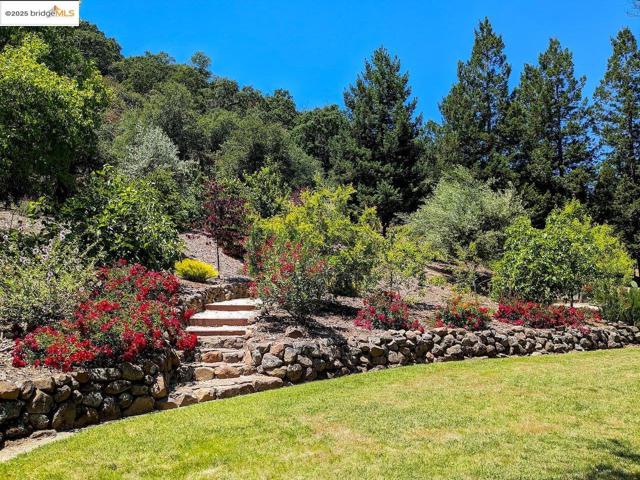 1037 Silverhill Dr, Lafayette CA: https://media.crmls.org/mediaz/0d108b91-f18e-4072-b58a-3fe6a5f8e2c4.jpg