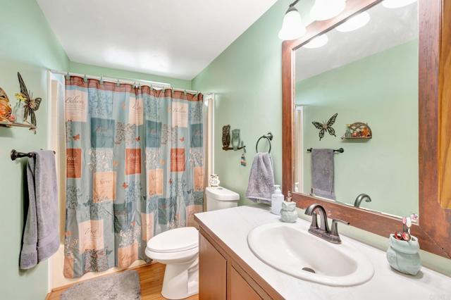 Detail Gallery Image 25 of 52 For 707 Lilac Ranch Rd, Alpine,  CA 91901 - 4 Beds | 2 Baths