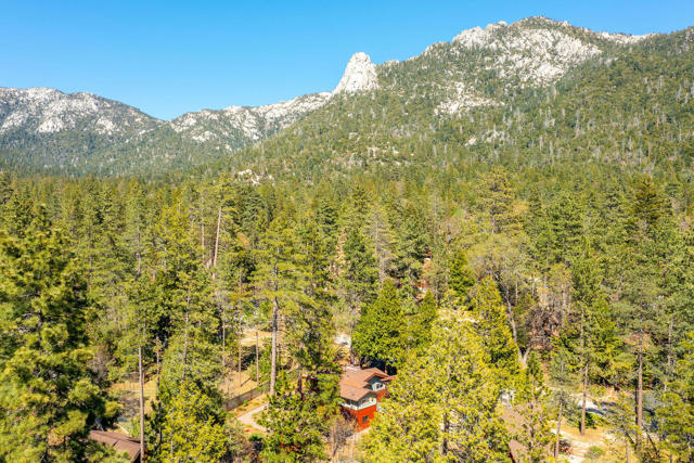 25445 Palomar Road, Idyllwild CA: https://media.crmls.org/mediaz/0d144341-a5e7-4928-aad9-301ed465b0af.jpg