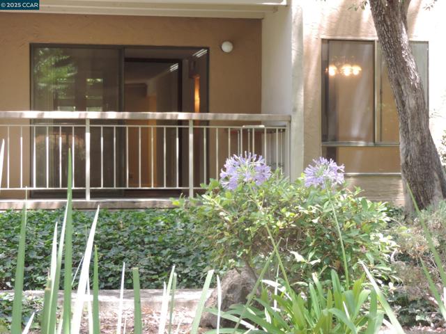 470 N Civic Dr., Walnut Creek CA: https://media.crmls.org/mediaz/0d14dc7a-8908-44d4-a906-a52b27cf37a5.jpg