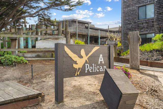 3 Pelican, Watsonville CA: https://media.crmls.org/mediaz/0d15187d-22fa-4873-990d-37d046553842.jpg