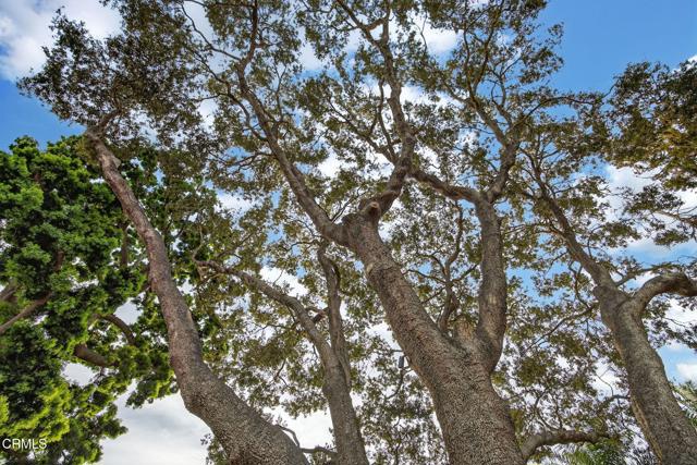 Detail Gallery Image 42 of 57 For 281 Glen Ellen Dr, Ventura,  CA 93003 - 4 Beds | 3 Baths