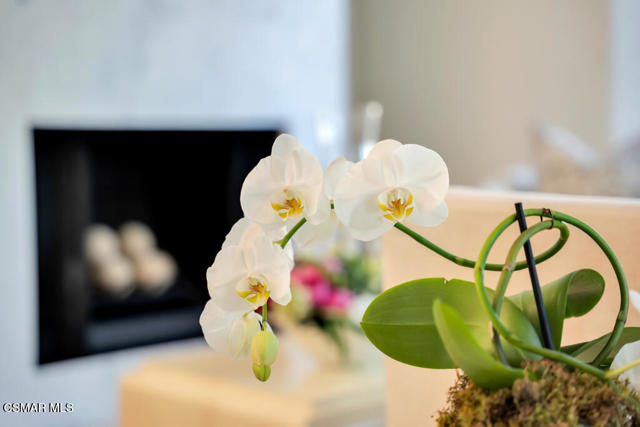 1228 S Westlake Boulevard, Westlake Village CA: https://media.crmls.org/mediaz/0d1d520e-e108-4cd7-b880-3fe3cb1c8aa4.jpg