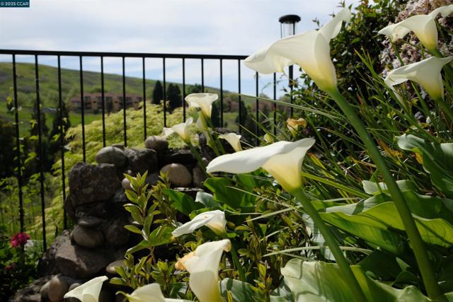 772 Lakemont Pl, San Ramon CA: https://media.crmls.org/mediaz/0d1e949f-20f5-44f7-b1e2-6194f811b7f5.jpg