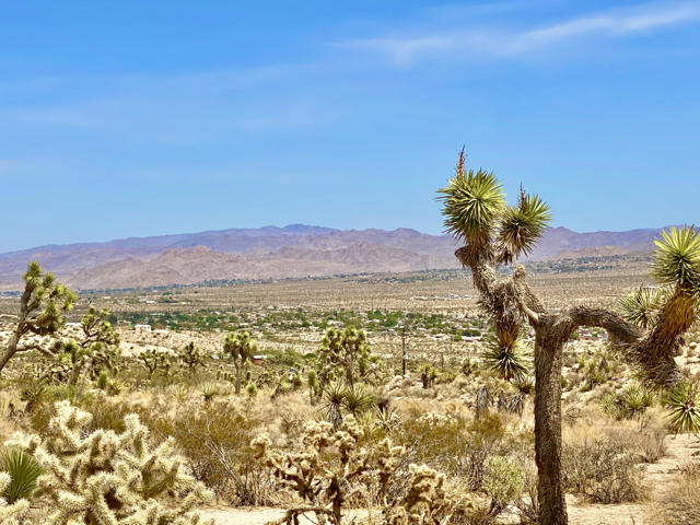 104 Bandera Road, Yucca Valley CA: https://media.crmls.org/mediaz/0d269dff-5ca7-46f9-8598-ad259dbf2b9b.jpg