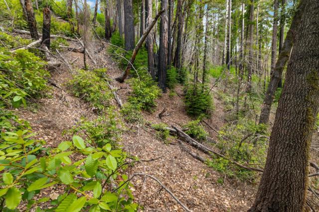 3 Bloom Grade, Boulder Creek CA: https://media.crmls.org/mediaz/0d366db2-a3d0-4a4b-91a6-63261c5d9f3a.jpg