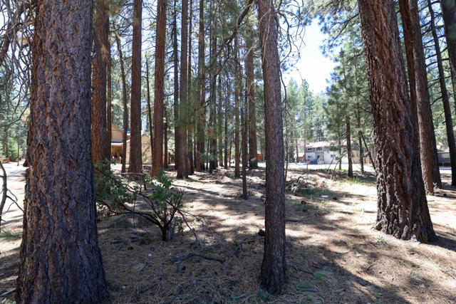689 Summit Boulevard, Big Bear CA: https://media.crmls.org/mediaz/0d381fd8-8c2c-495a-b5a9-e99f3be2be95.jpg
