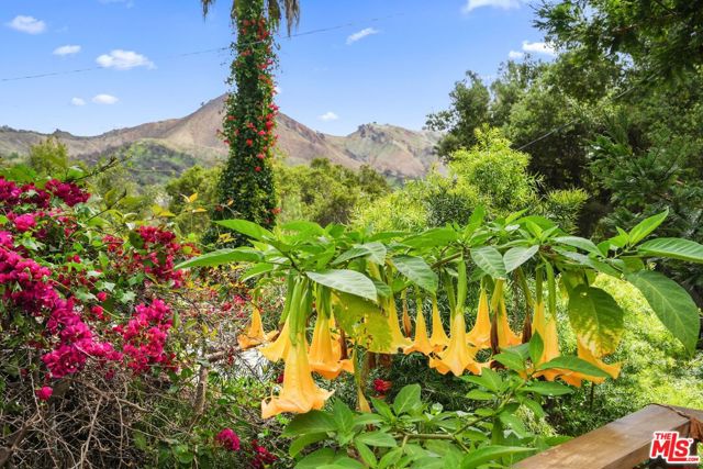 19817 Montau Drive, Topanga CA: https://media.crmls.org/mediaz/0d3b0bf5-0d45-4d1e-8987-6c8f4dc5e178.jpg