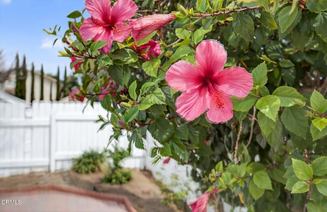 Detail Gallery Image 25 of 28 For 3470 Chief Cir, Thousand Oaks,  CA 91360 - 4 Beds | 2/1 Baths