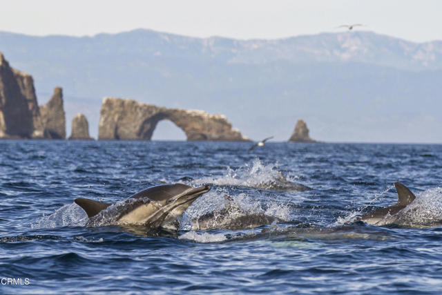 Detail Gallery Image 50 of 58 For 1736 Marisol Dr, Ventura,  CA 93001 - 4 Beds | 3/1 Baths